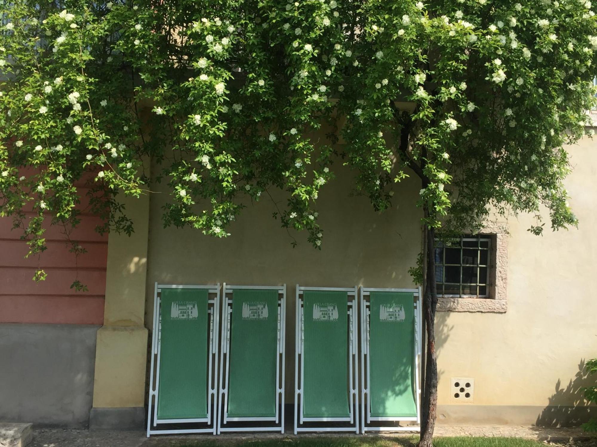 Villa Cisano Residenza D'Epoca 巴多利诺 外观 照片